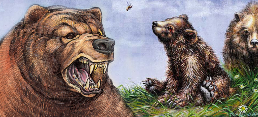 Bear Cub & Balduvian Bears